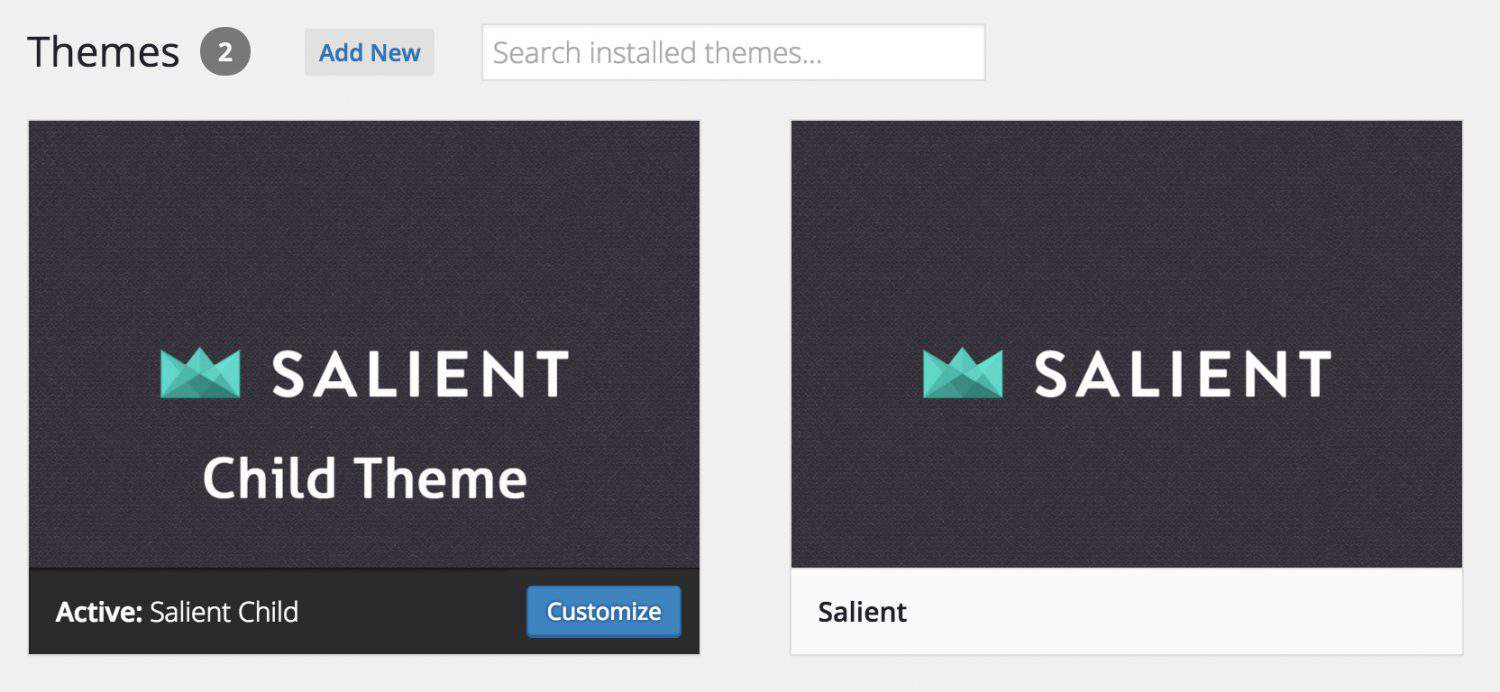 Salient theme and child theme in the WordPress admin